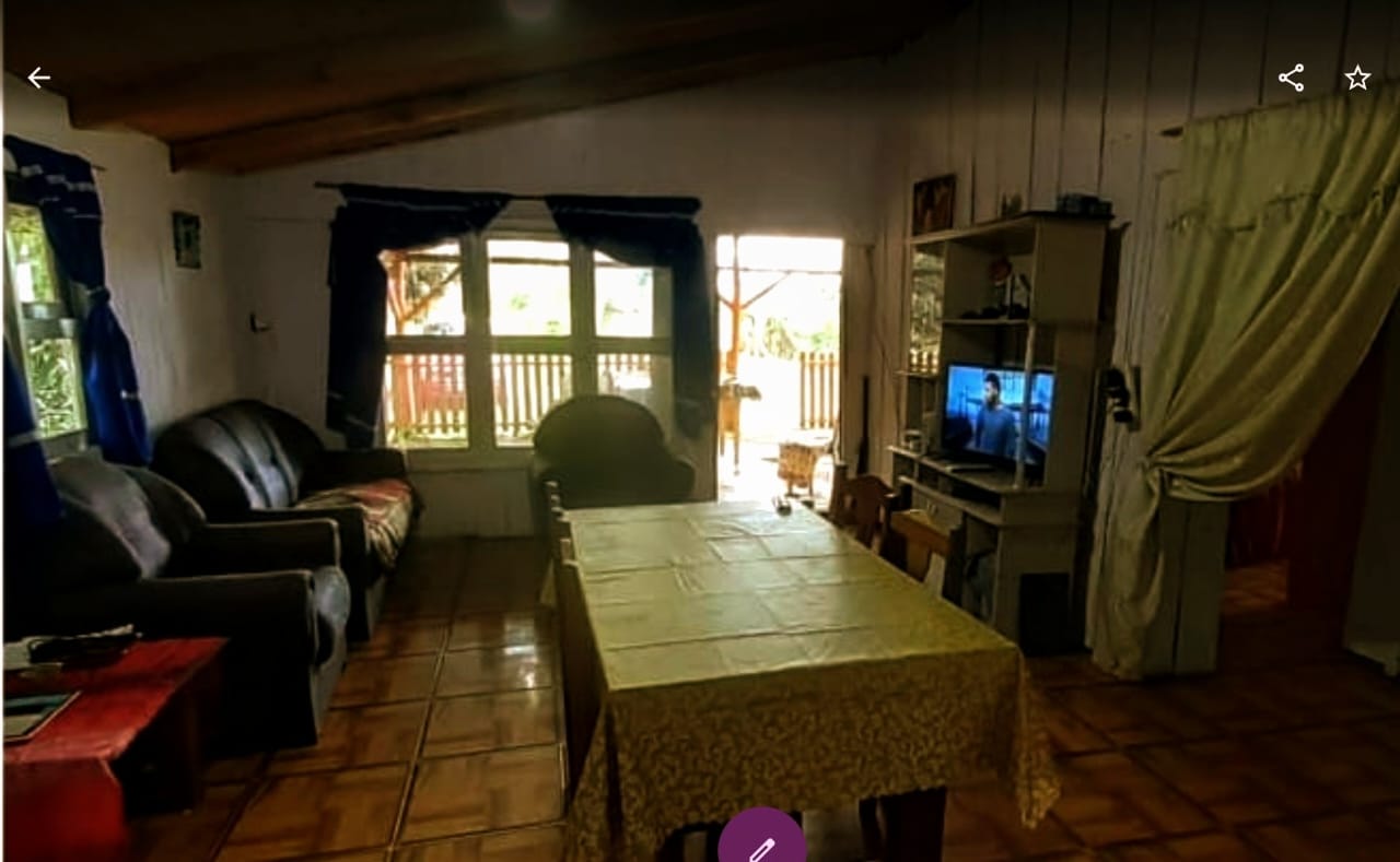 SELVA NATIVA, CABAÑA, AGUA PURA Y FRUTALES - imagen 13
