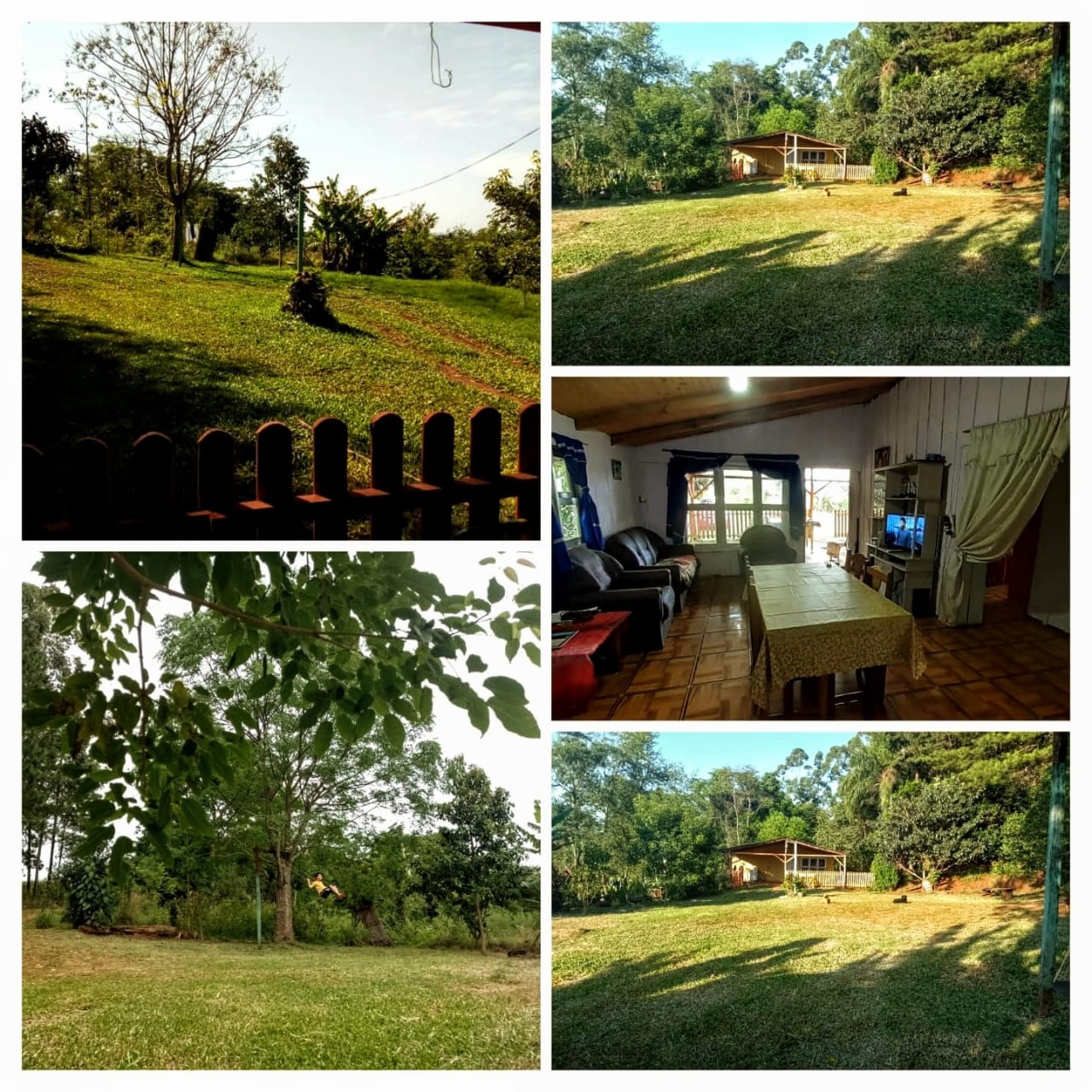 SELVA NATIVA, CABAÑA, AGUA PURA Y FRUTALES