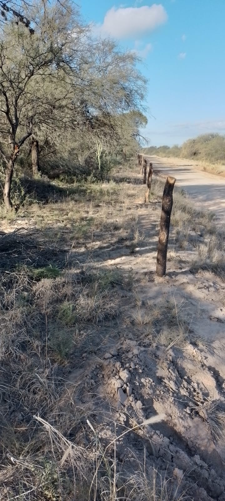 Campo agricola ganadero de 131 hetareas en candelaria sobre la Ruta 79 - imagen 7
