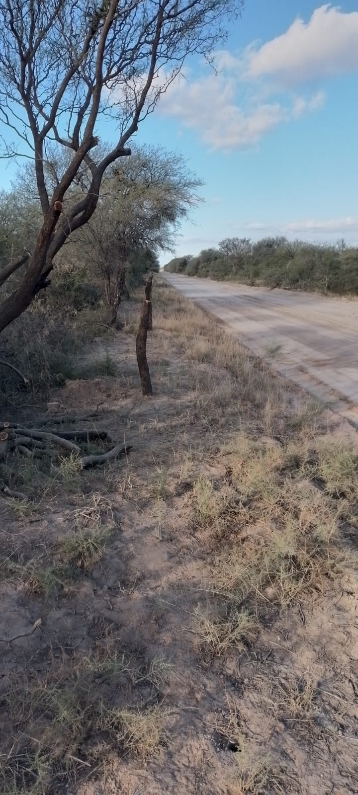 Campo agricola ganadero de 131 hetareas en candelaria sobre la Ruta 79