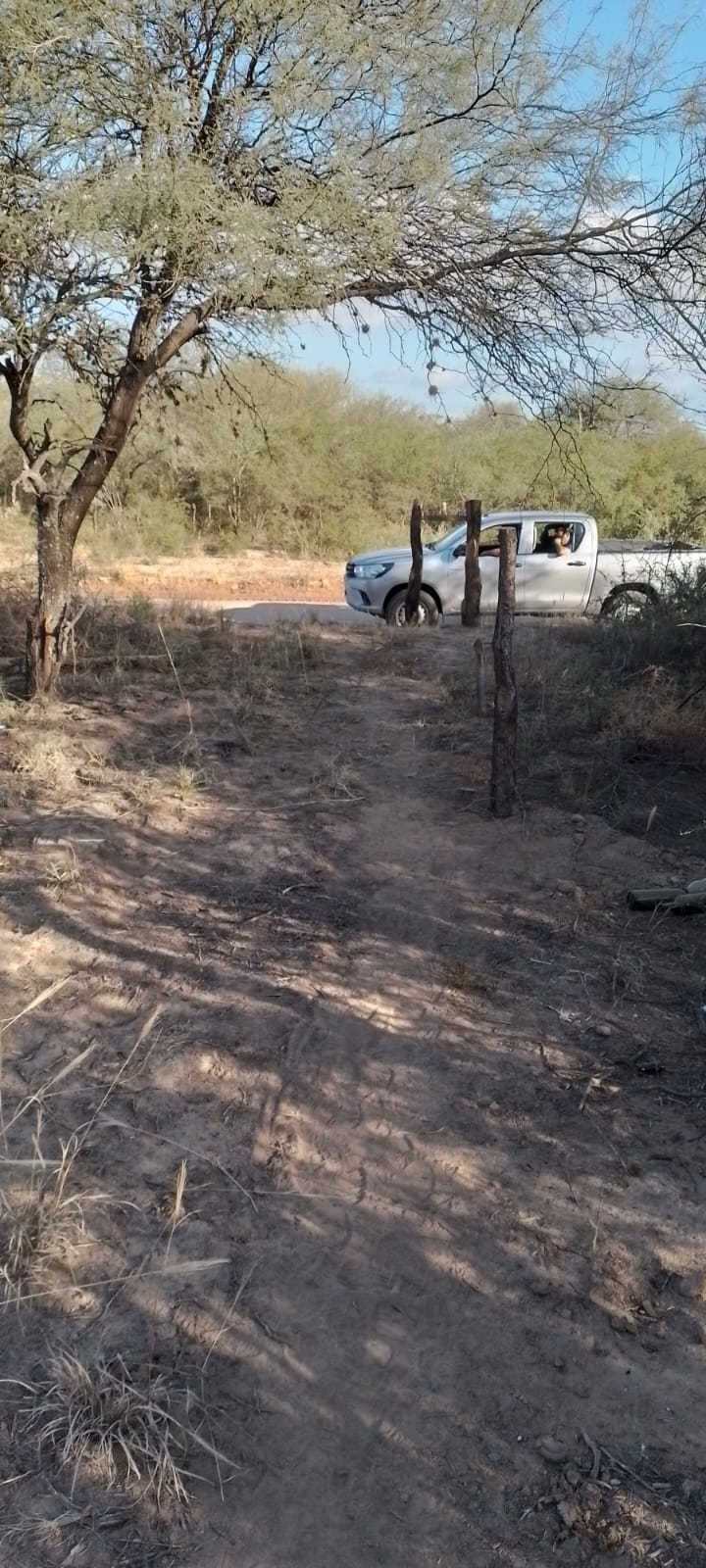 Campo agricola ganadero de 131 hetareas en candelaria sobre la Ruta 79 - imagen 6