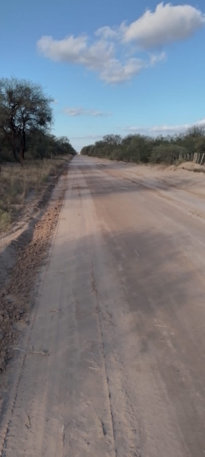 Campo agricola ganadero de 131 hetareas en candelaria sobre la Ruta 79 - imagen 8