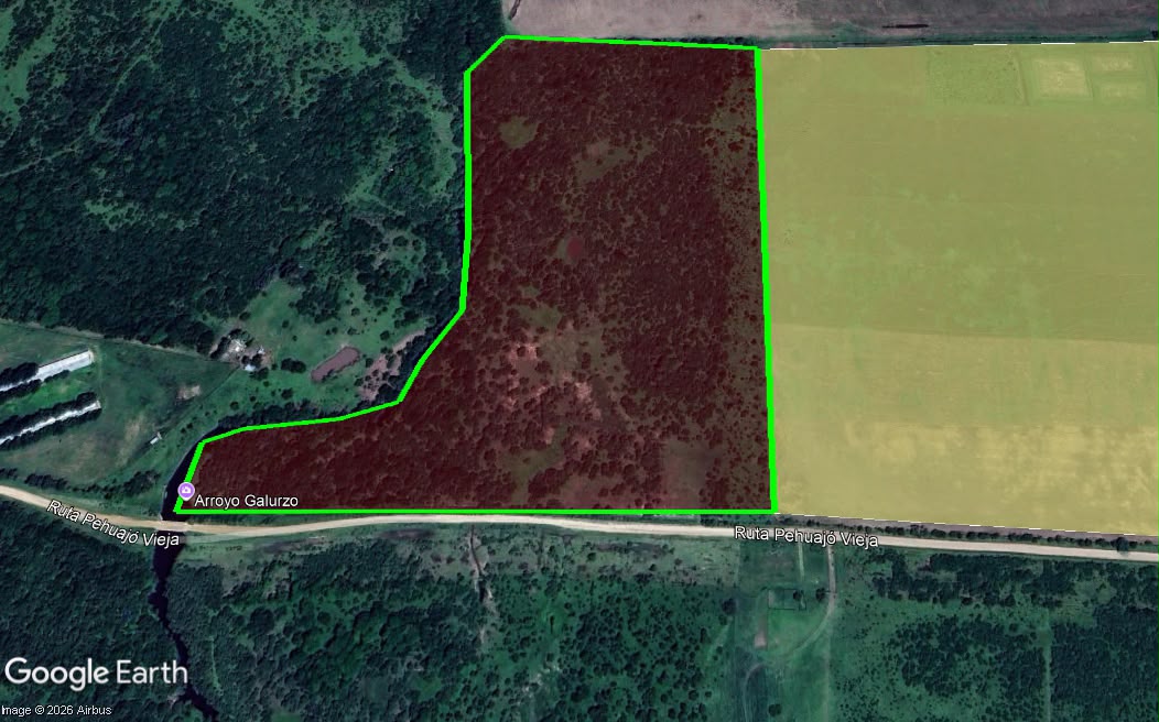 Vendo campo en Entre Rios Alarcon 28 ha a 18 km ruta - imagen 7