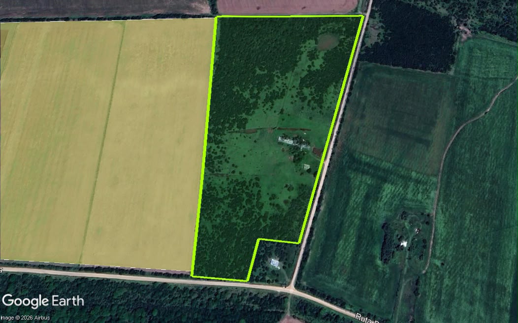 Vendo campo en Entre Rios Alarcon 28 ha a 18 km ruta - imagen 10