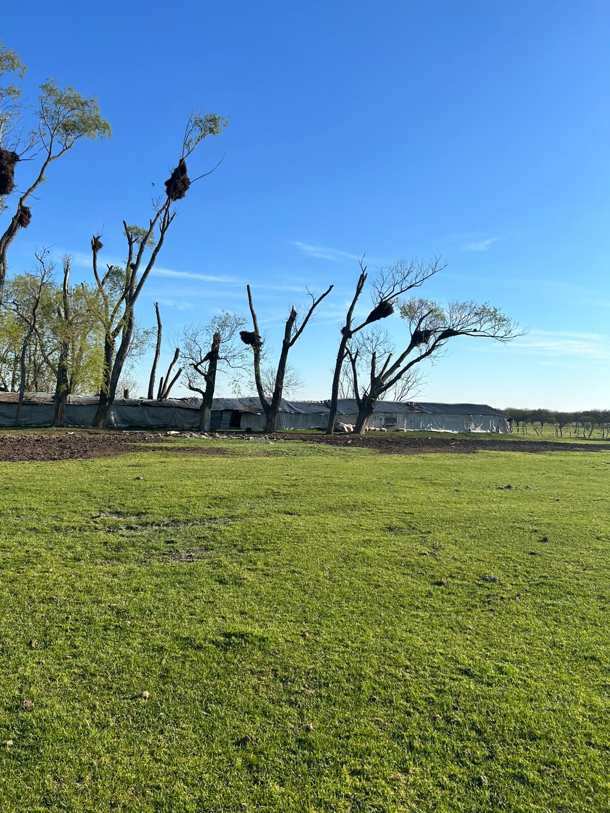 Vendo campo en Entre Rios Alarcon 28 ha a 18 km ruta - imagen 8