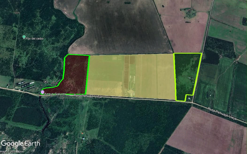 Vendo campo en Entre Rios Alarcon 28 ha a 18 km ruta - imagen 4