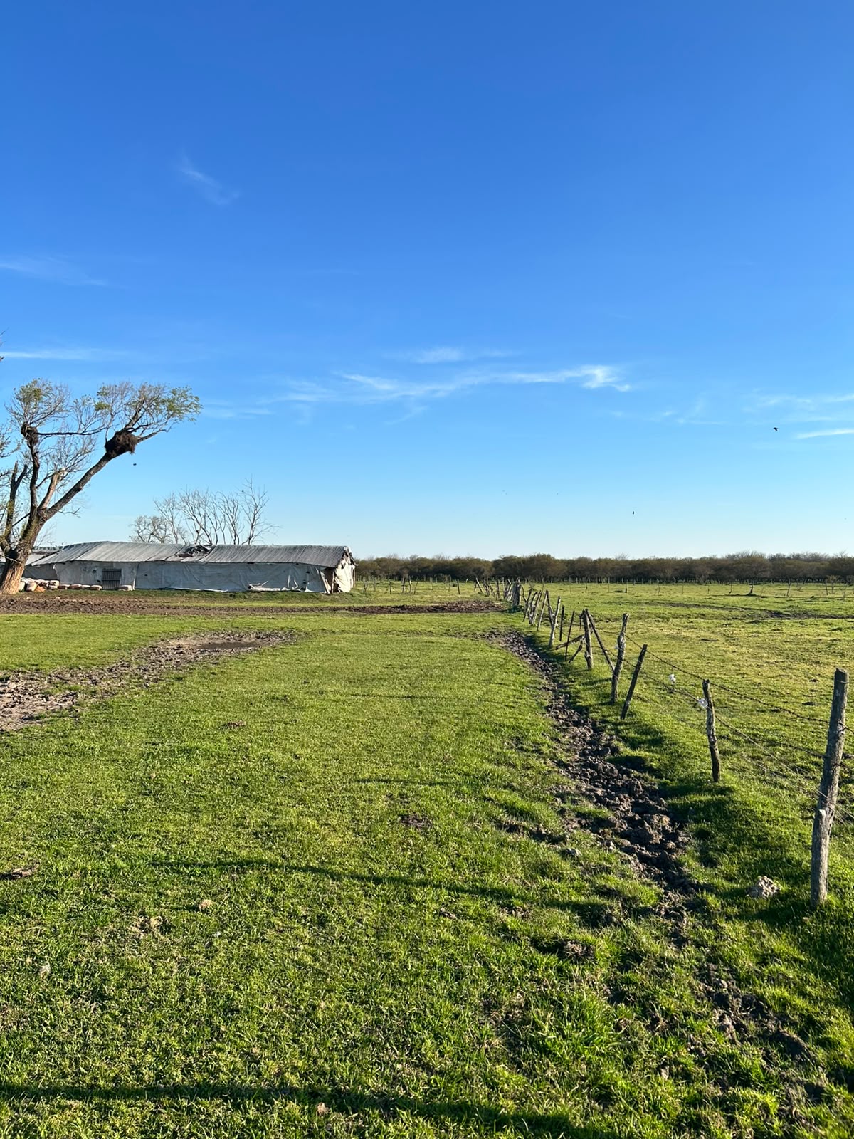 Vendo campo en Entre Rios Alarcon 28 ha a 18 km ruta - imagen 2