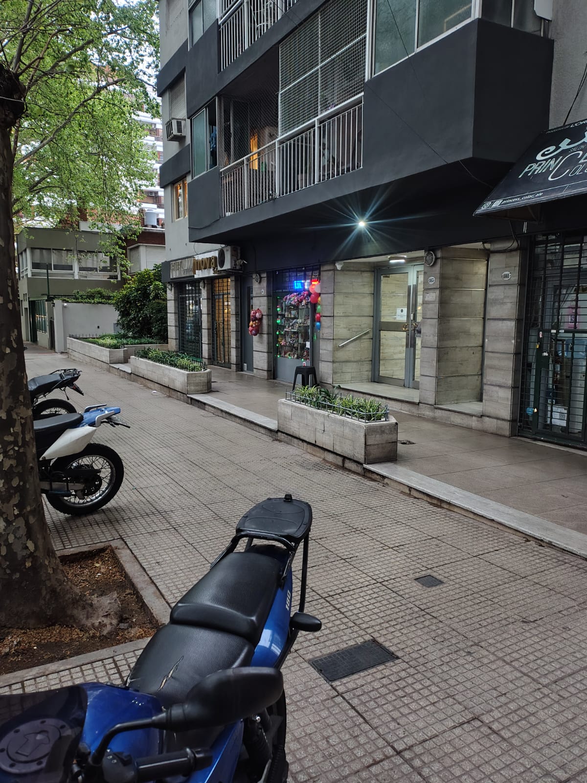 Depto dos ambientes frente a Plaza del Angel Gris - imagen 14